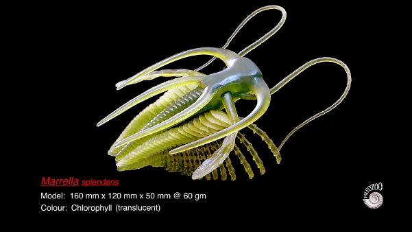 Marrella - Cambrian model from Paleozoo